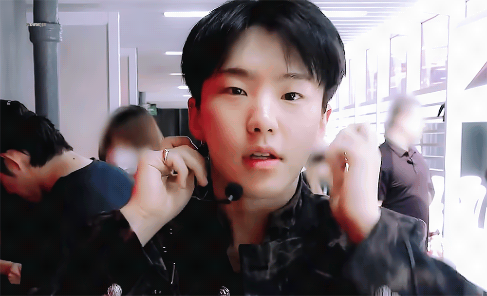 [잡담] 세븐틴 호시가 햄찐데 호랑이인 이유 같은 날 | 인스티즈