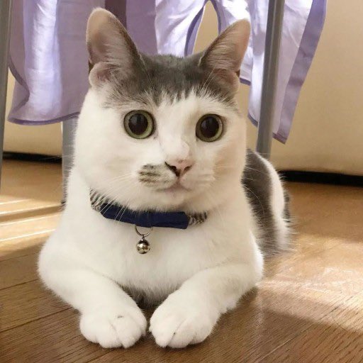 [잡담] 하성운 휴가 나왔는데 고영이그잡채🧡 | 인스티즈