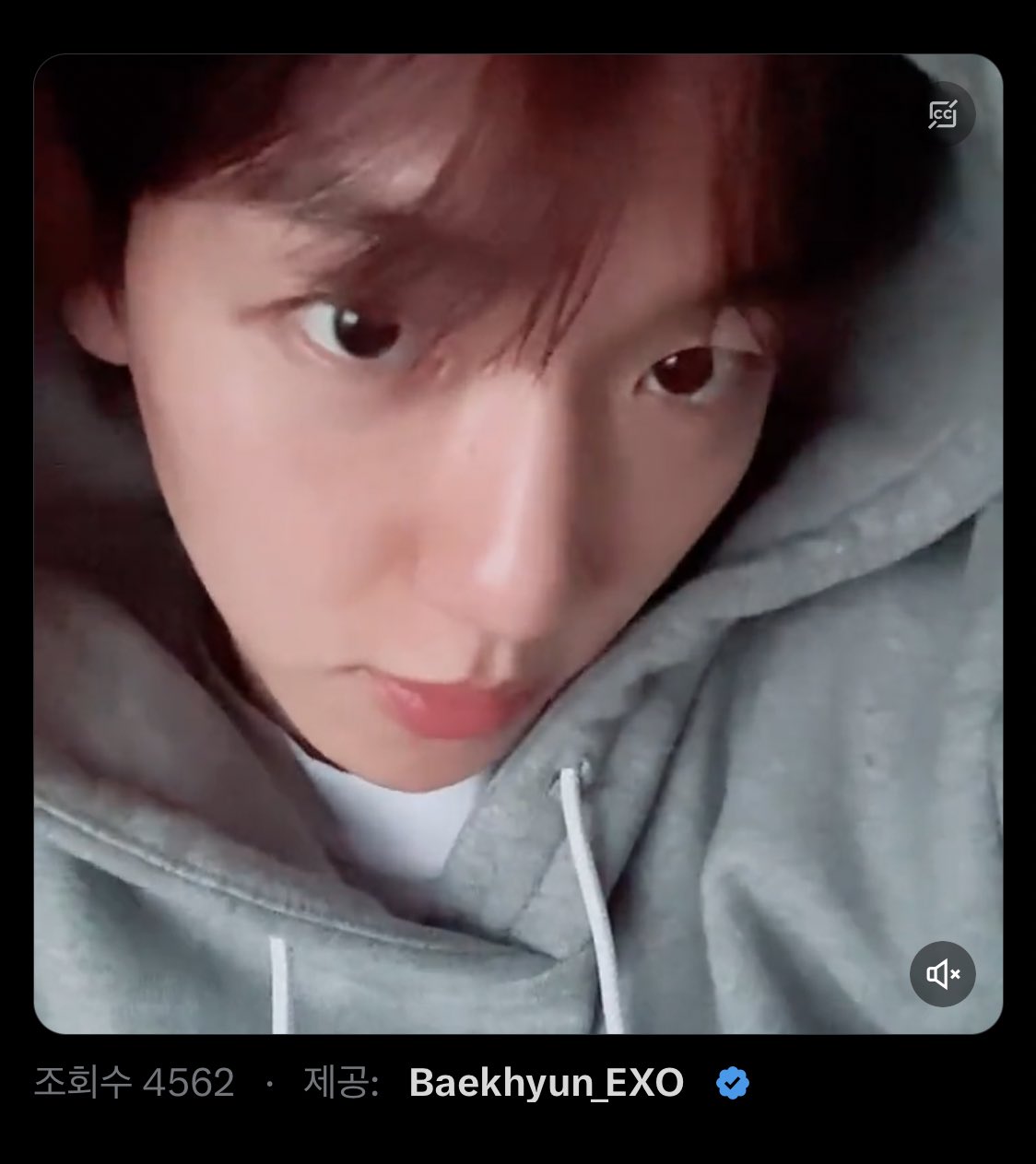 [잡담] 제공이 백현이인거 넘 좋지않니 백현이들아 | 인스티즈