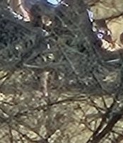 [잡담] 지웅이가 확실해요 | 인스티즈