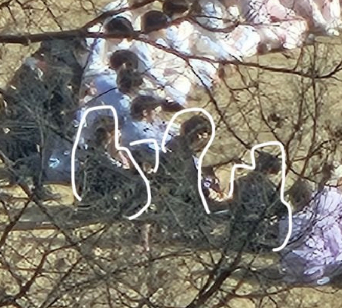 [잡담] ㅇㄴ 세마넴 왜 4명밖에 안보임(ㅅㅍ | 인스티즈