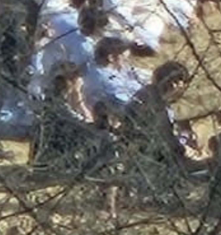 [잡담] 이거 3명 다 태래같음 진짜로 | 인스티즈