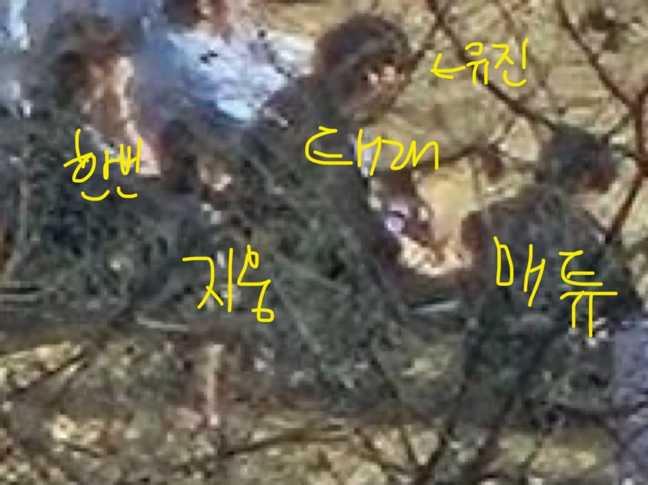 [잡담] 애들아 아무리 봐도 웅빈유매태 맞는거 같은데???? | 인스티즈