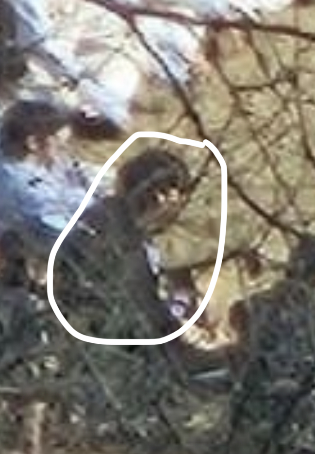 [잡담] 이게 태래일 확률은???? | 인스티즈