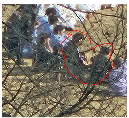 [잡담] 여기 그럼 뭉쳐있는 2명? 3명은 누구지 | 인스티즈