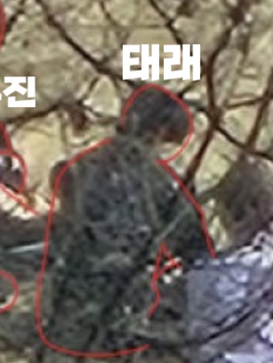 [잡담] 근데 이 친구 진짜 태래같은데.. 태래 아니면 생각나는 연생이 없어서 | 인스티즈