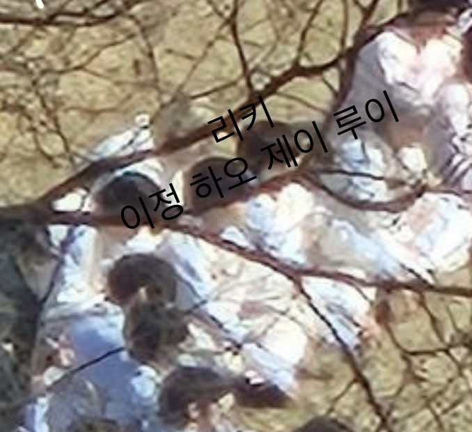 [잡담] 어떡해 3번 너무 기대돼서 벌써 잠못자 | 인스티즈