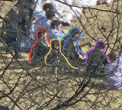 [잡담] 4번 내 눈에 보이는걸로는 ㅅㅍㅈㅇ | 인스티즈