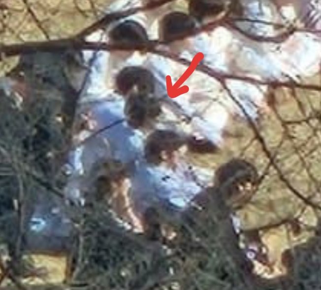 [잡담] 누가 이거 태래같다는데 | 인스티즈