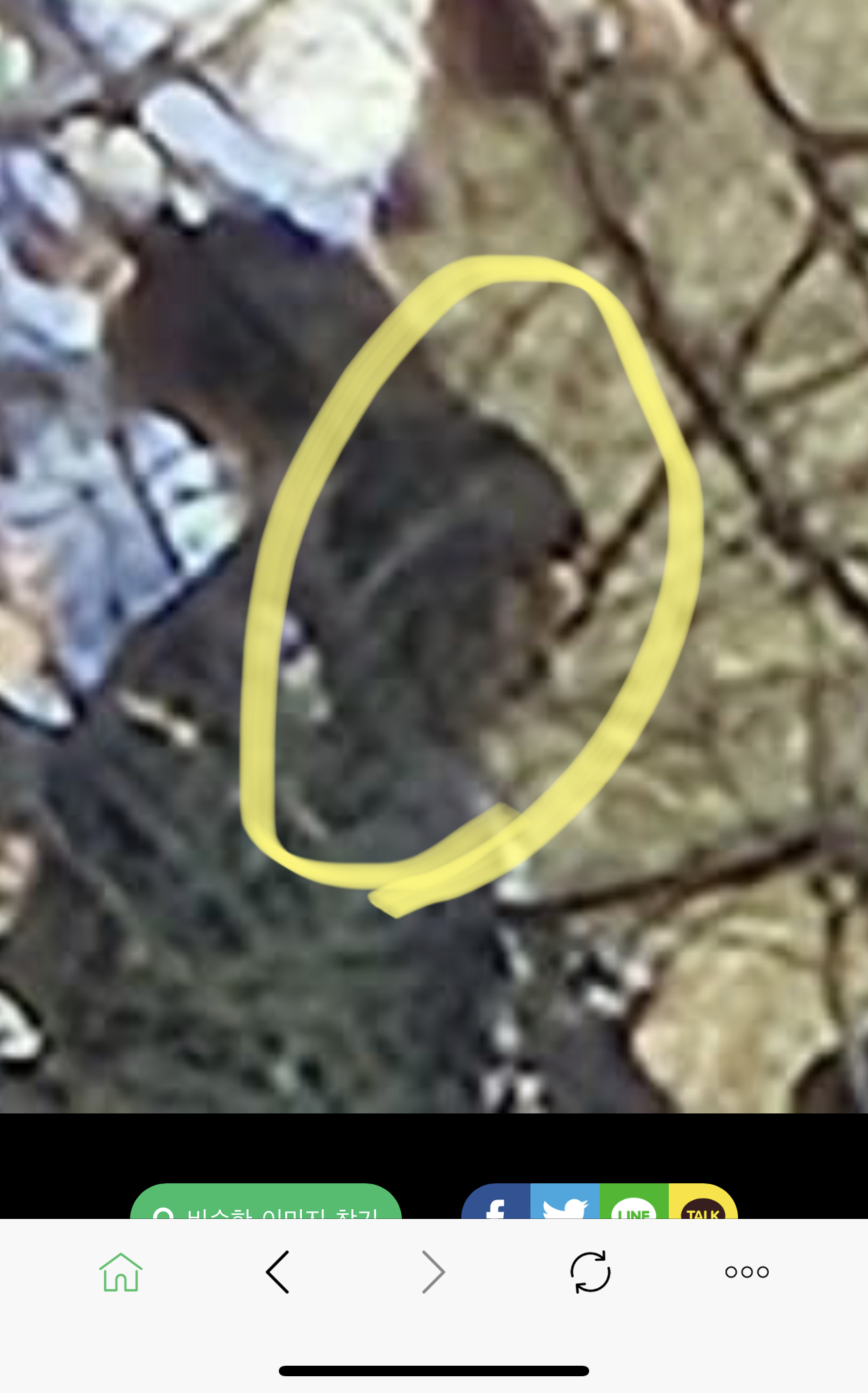 [잡담] ㅇ여가요 태래인데요 | 인스티즈