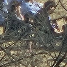 [잡담] 우린 이걸 지웅자세라고 부르기로했어요 | 인스티즈