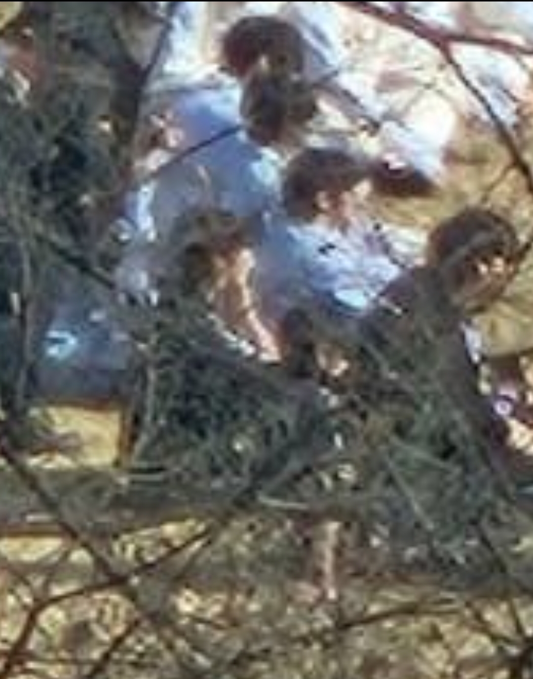 [잡담] 한빈맘들아.. 4번 확실한거같아?? | 인스티즈