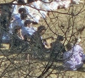 [잡담] 윗짤 보고나니까 초록 넘나 매튜로 보임(ㅅㅍ | 인스티즈