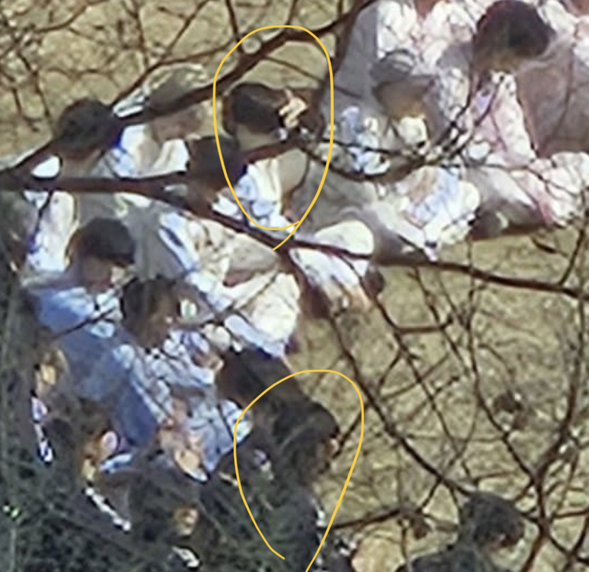 [잡담] 이 목결짤 누구누구여?(ㅅㅍ | 인스티즈