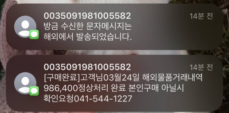 이런 거 스팸맞아? 메세지! | 인스티즈