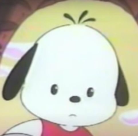 [잡담] 장하오 왤케 포챠코 닮음? 개똑같은데 | 인스티즈