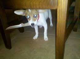 [잡담] 근데 연생들 우리 생각보다 서로 더 친해보여ㅎ | 인스티즈