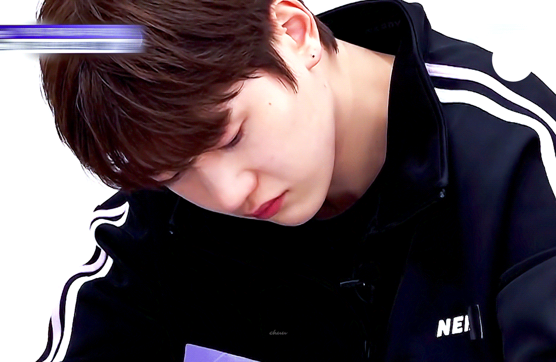 [잡담] 우리 콩알이 데뷔해 🦊🐱❤️ | 인스티즈