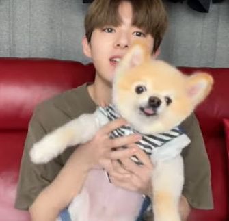 [잡담] 할 히로토 이 강아지 애기때부터 키웠나봐 지금은 이렇게 큼 | 인스티즈