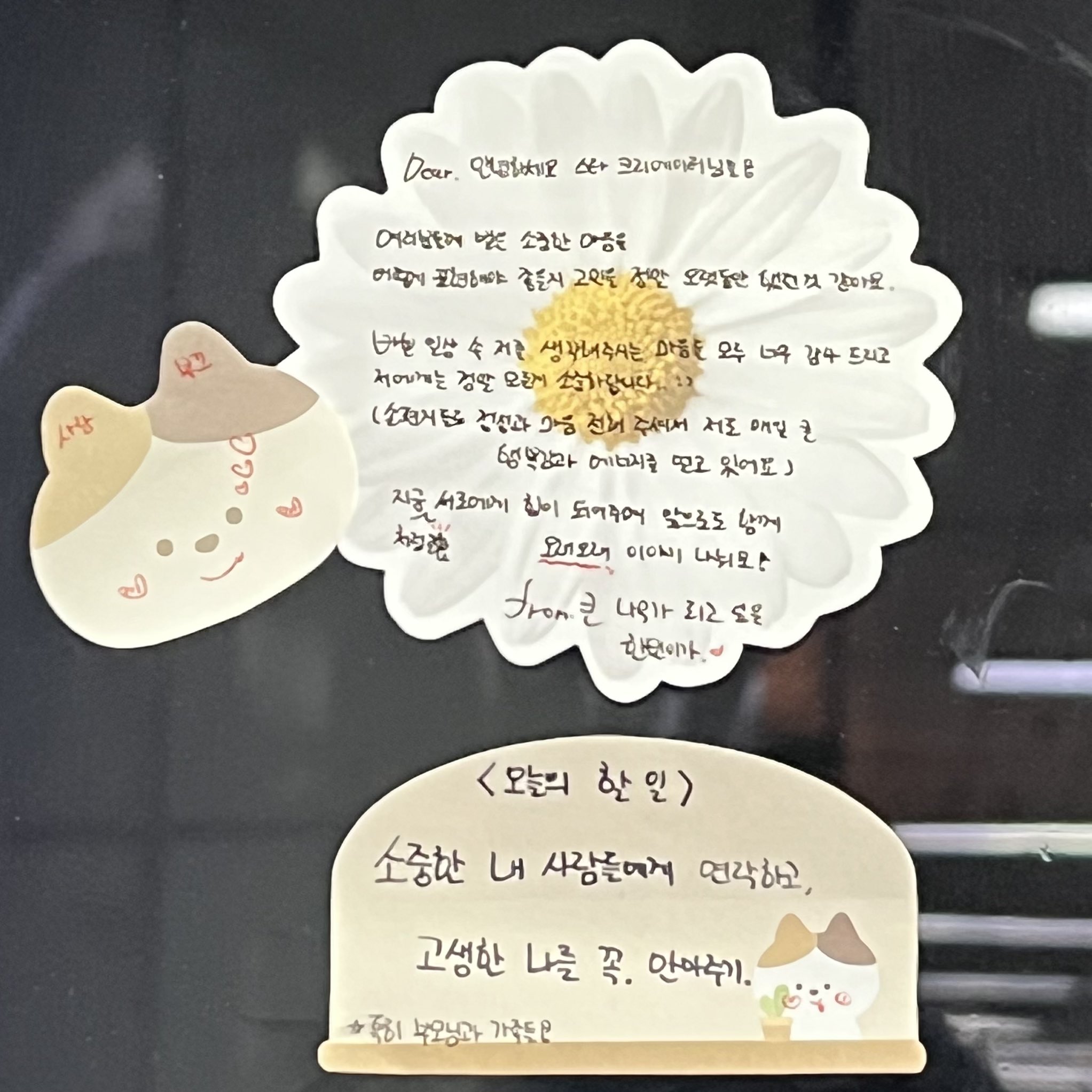 [잡담] 근데 성한빈 진짜 돌판 ㄹㅈㄷ 효자 될 것 같음 | 인스티즈