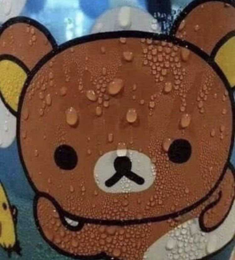 [잡담] 석류단들아 | 인스티즈