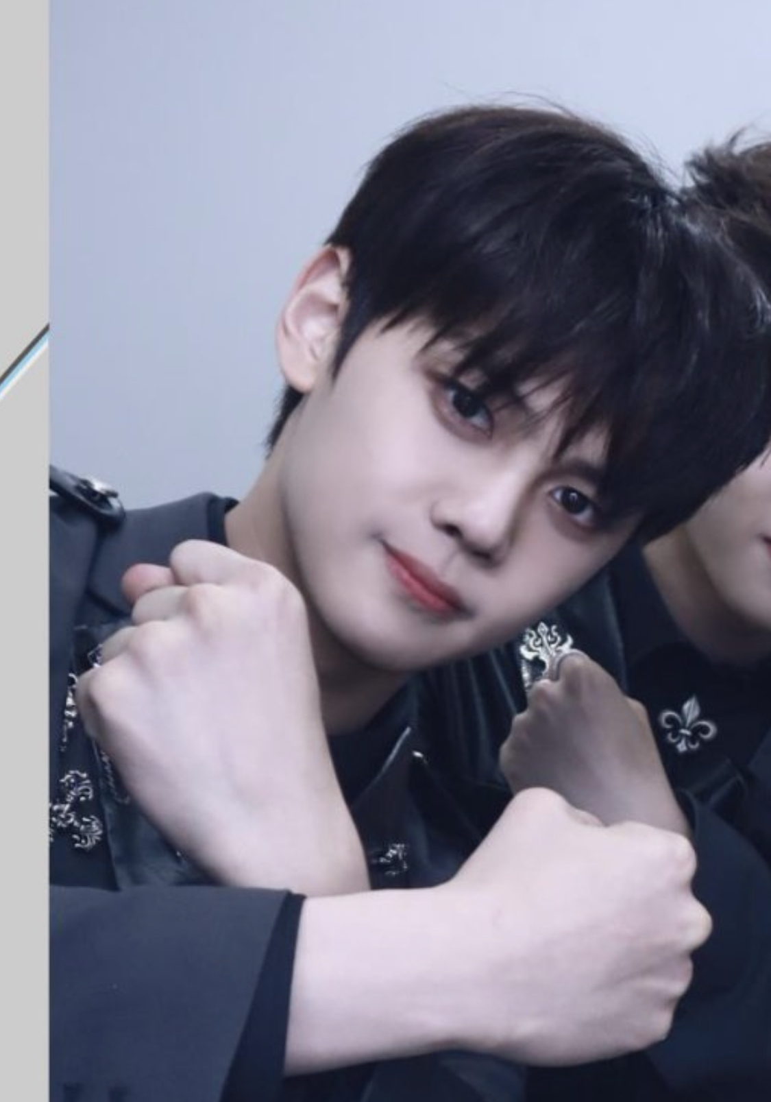 [잡담] 무슨 말티즈가 이렇게 용맹하게 생겼니 | 인스티즈