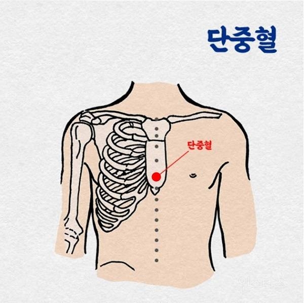 단중혈 혈자리는 분노가 치밀거나 스트레스 받을때눌러 주면 좋은 혈자리 입니다 | 인스티즈