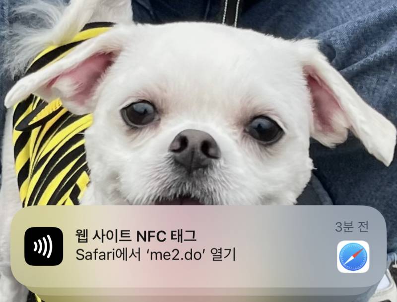 이거 왜 뜨는지 아는사람...? | 인스티즈