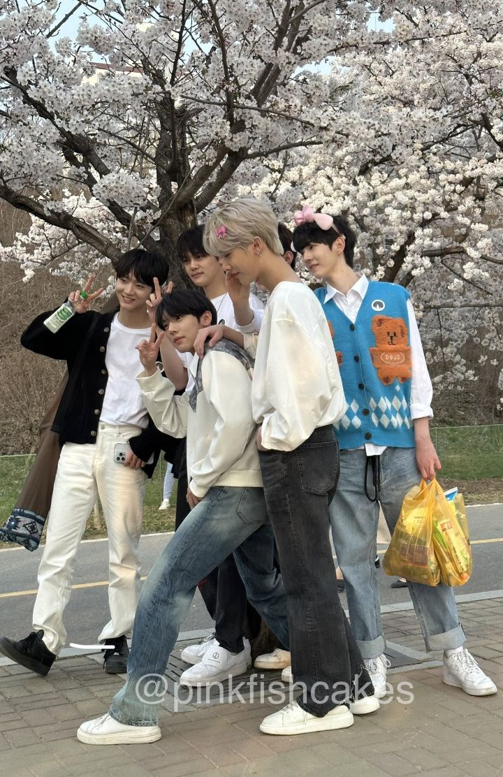 [잡담] 위에화 폴라만 몰래 풀지말고 벚꽃사진 당장풀어 | 인스티즈