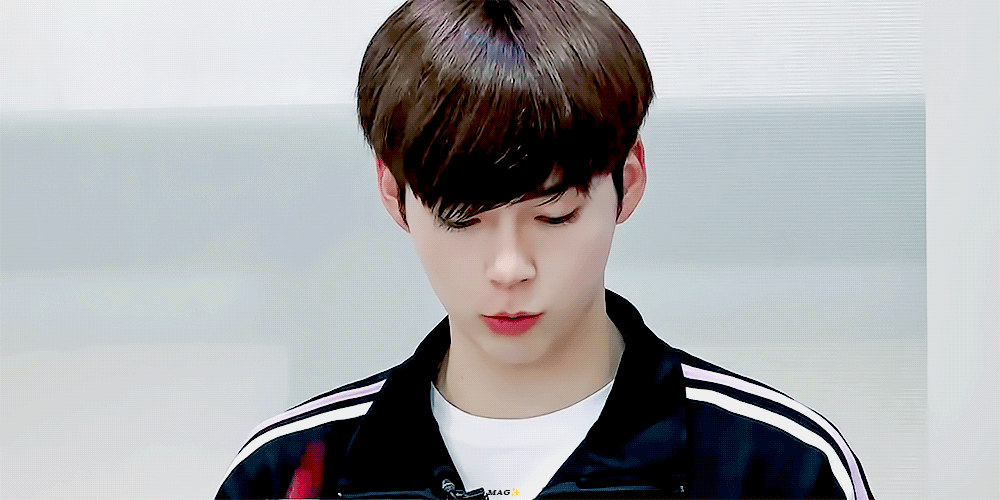 [잡담] 센터즈 내 인생 최고의 서바조합 | 인스티즈