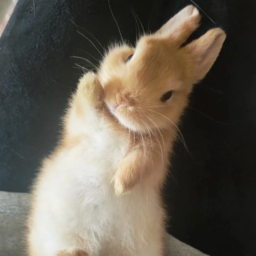 [잡담] 유진아 오늘도 수고했어요 잘자🩷 | 인스티즈