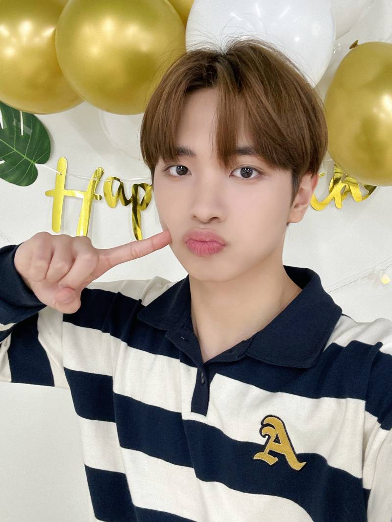 산불 피해지 나무심기 행사 참여한 아이돌 | 인스티즈