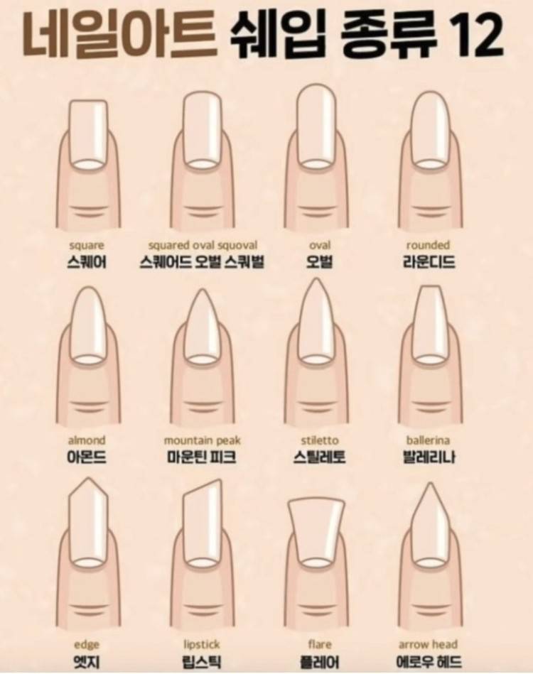 네일 쉐입 뭐가 더 펀해? 111 아몬드 222 발레리나 - 인스티즈(instiz) 일상 카테고리