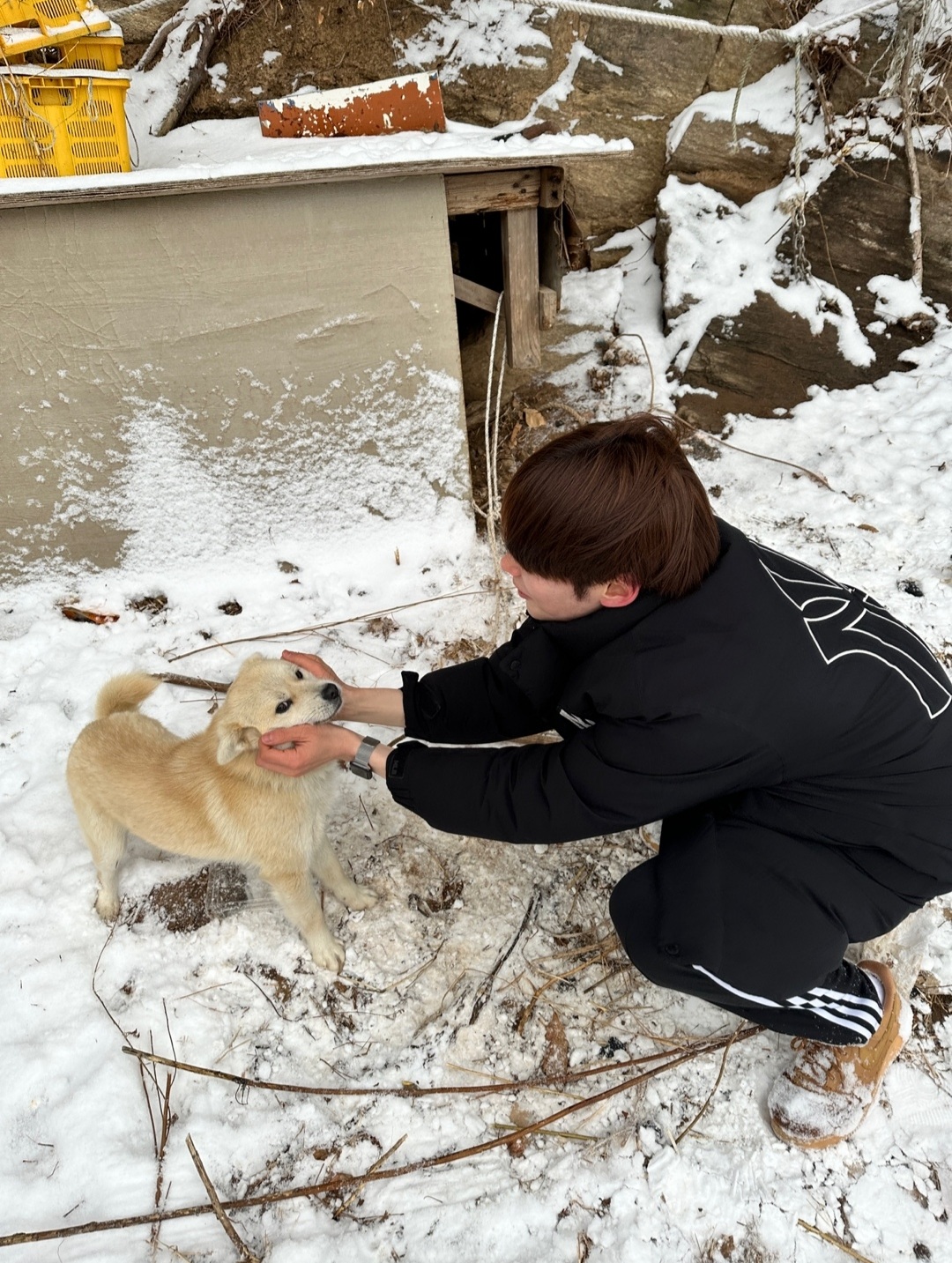 [잡담] 강아지를 쓰다듬는 성한빈을 쓰다듬는 나 | 인스티즈