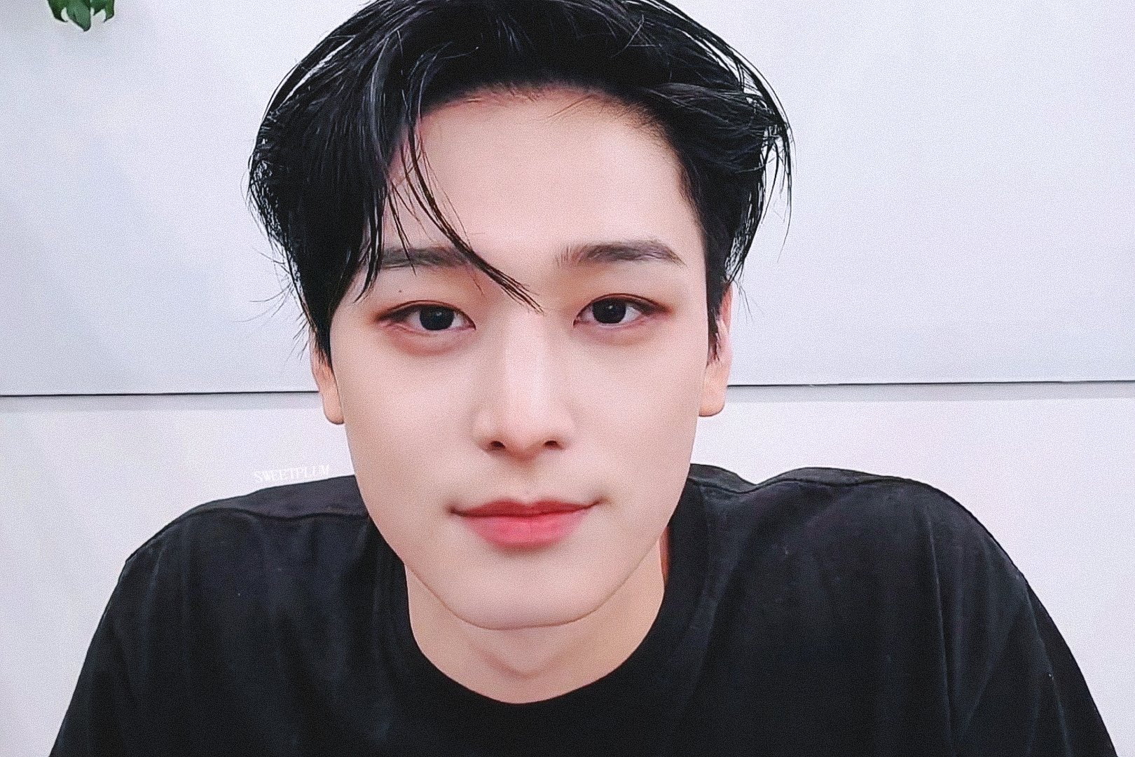 [잡담] 이주연 애기에서 오빠 된 거 보실 분… | 인스티즈