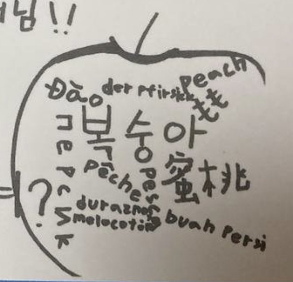 [잡담] 한유진 복숭아 좋아하는거 넘 귀엽다ㅋㅋㅋ | 인스티즈