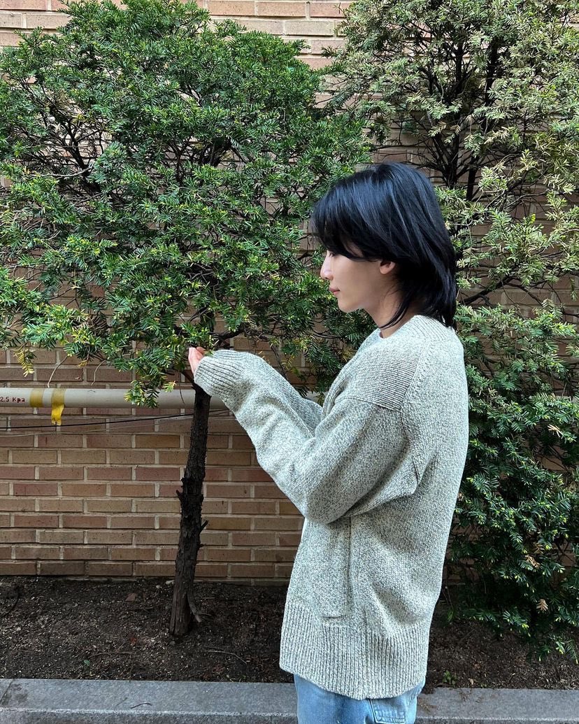 [잡담] 정한 인스타 개청순하다 | 인스티즈