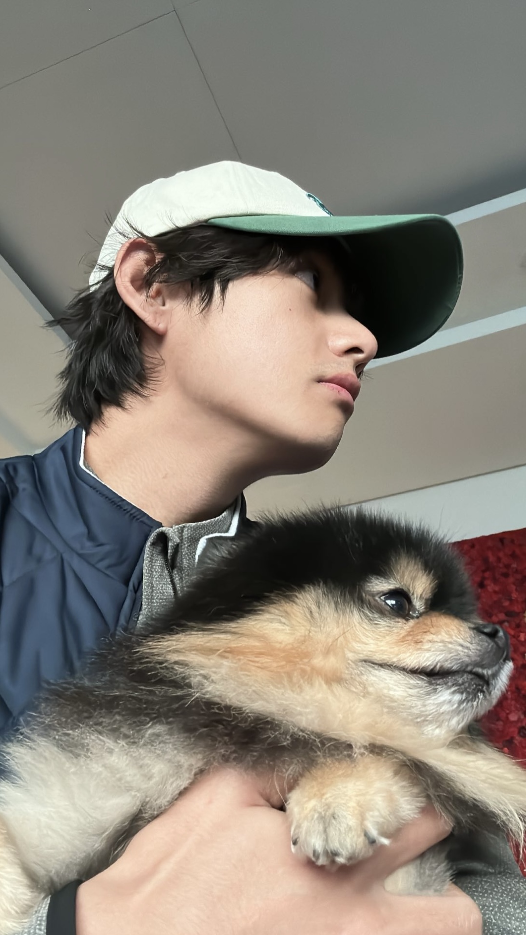 [잡담] 역시 강아지는 주인을 닮는다니까 | 인스티즈