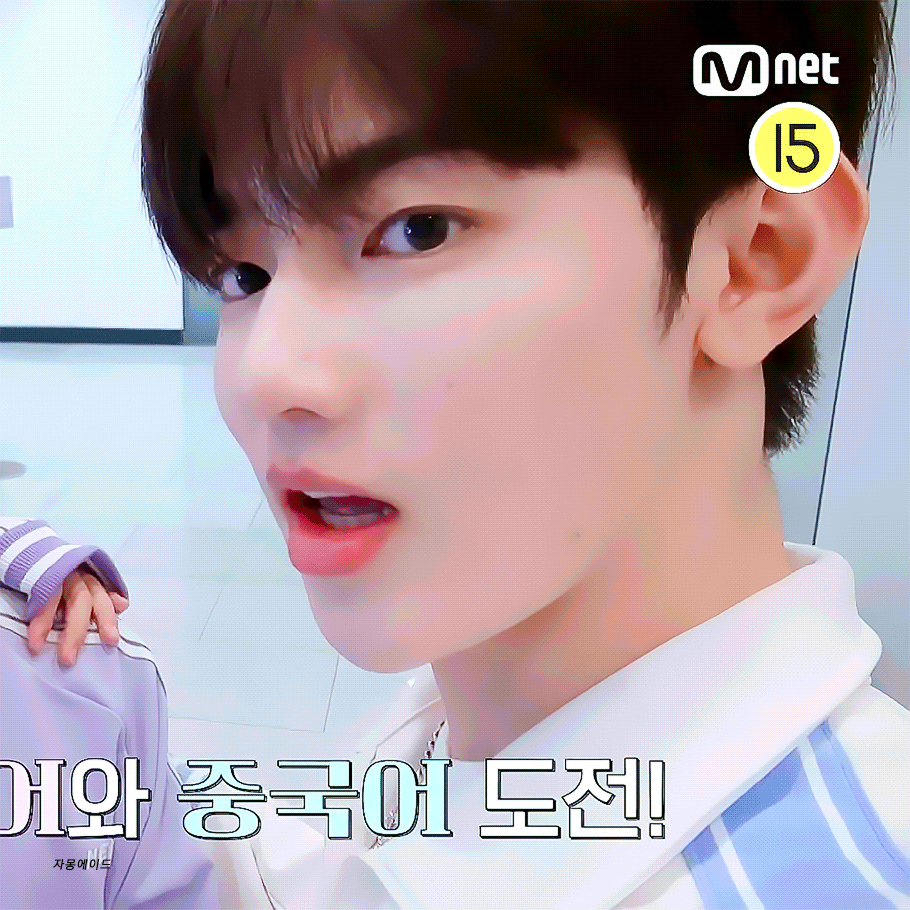 [잡담] 내가 어쩌다 서바 보다가 픽을 다섯명이나 잡아서 | 인스티즈