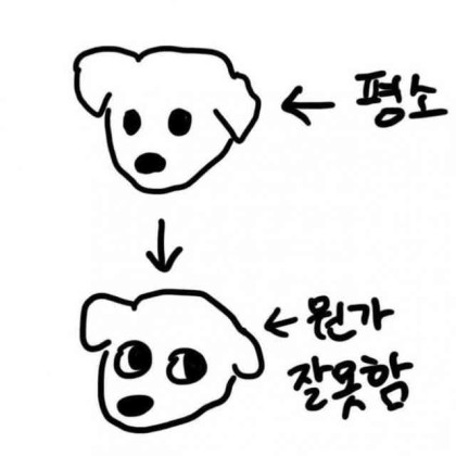 [잡담] 뭔가 잘못한 강아지 웃는 버전 같음ㅋㅋㅋㅋㅋㅋㅋ | 인스티즈
