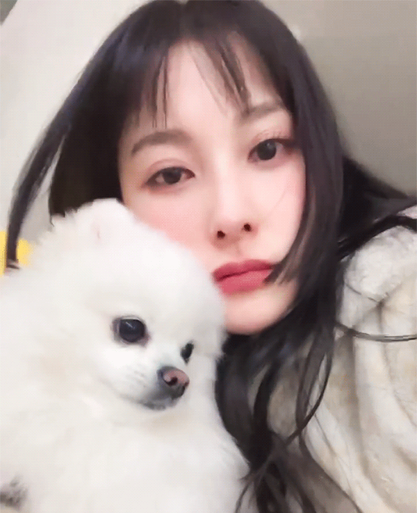 [잡담] 카라 박규리 요즘수요상? 요즘 사람들이 좋아하는 고양이상 같음 | 인스티즈