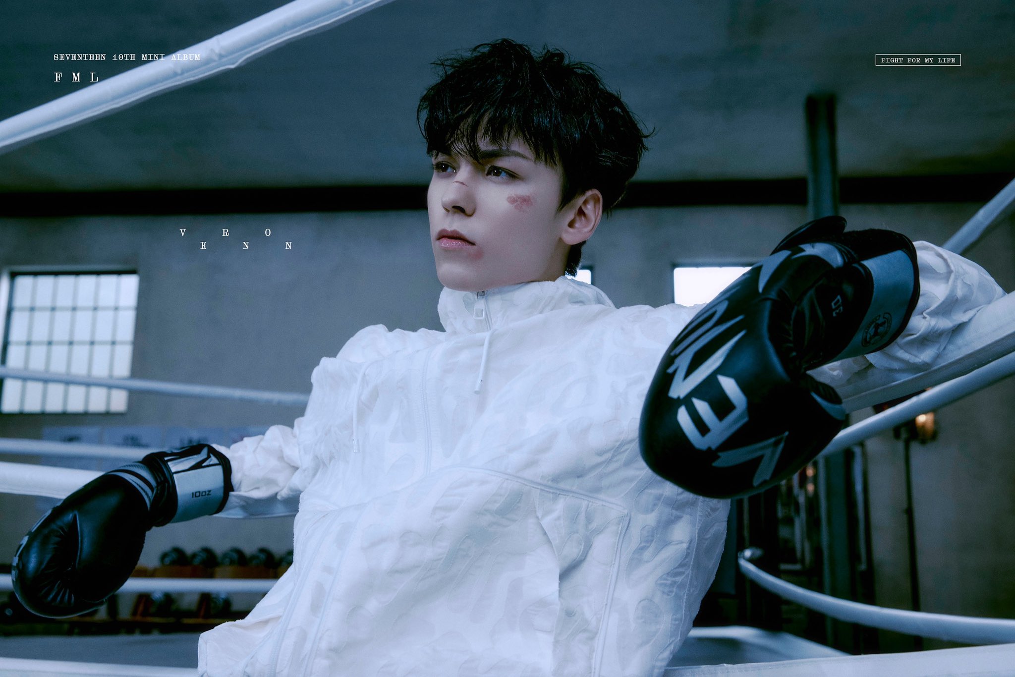 [잡담] 플레디스에 당당히 요구합니다 세븐틴 짭상처 내놔 | 인스티즈