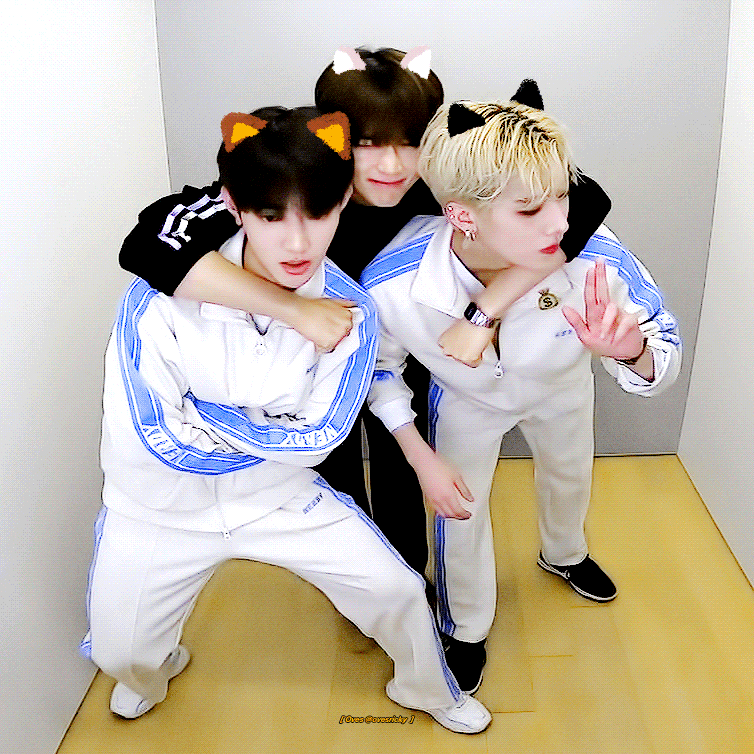[잡담] 보플 정말 인생네컷 안줄꺼야…? 줄만도 한데…ㅠ | 인스티즈