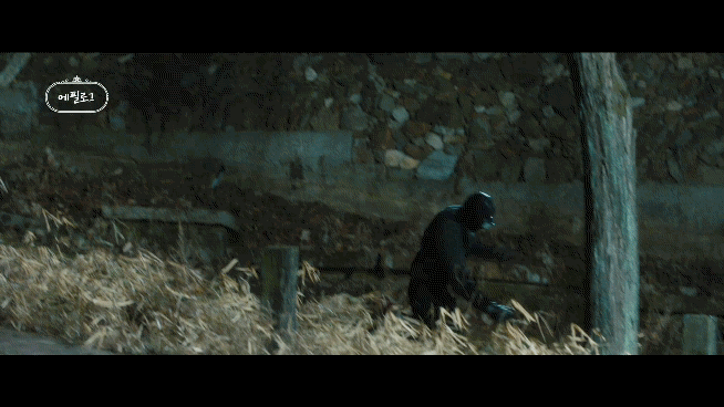 다사다난 스컹크 생존기 feat. 드라마 스틸러 | 인스티즈