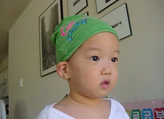 [잡담] 나캠든 과사 또 떴는데 너무 귀여움 ㅠㅠㅠㅠ | 인스티즈