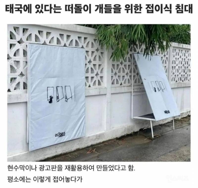 태국 떠돌이 개들을 위한 접이식 침대.jpg | 인스티즈