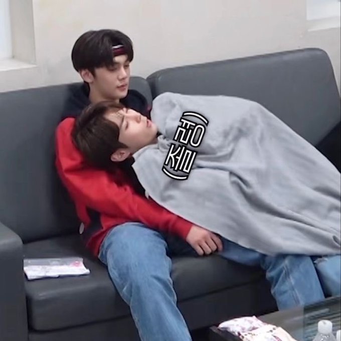 [잡담] 콩알즈야 사랑해 같이살아 데뷔하자 | 인스티즈