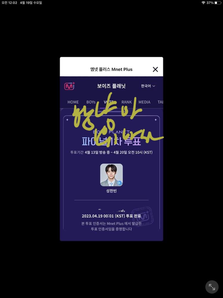 [잡담] 오투완🐹🐱☘️ | 인스티즈