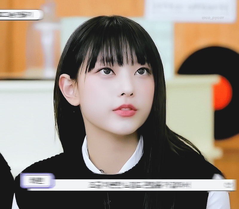 [잡담] 어떻게 인턴이 고양이 | 인스티즈