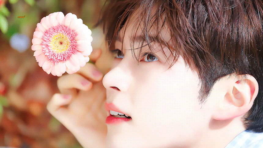 [잡담] 성한빈 눈이 되게 힘있고 맑아서 에너지좋고 장점이듯 - 인스티즈(instiz) 연예 카테고리